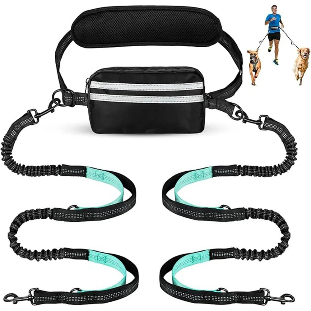 Laisse double pour chien | Mains Libres Anti-Traction