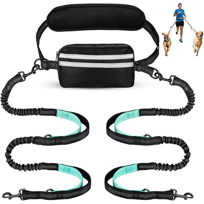Laisse double pour chien | Mains Libres Anti-Traction
