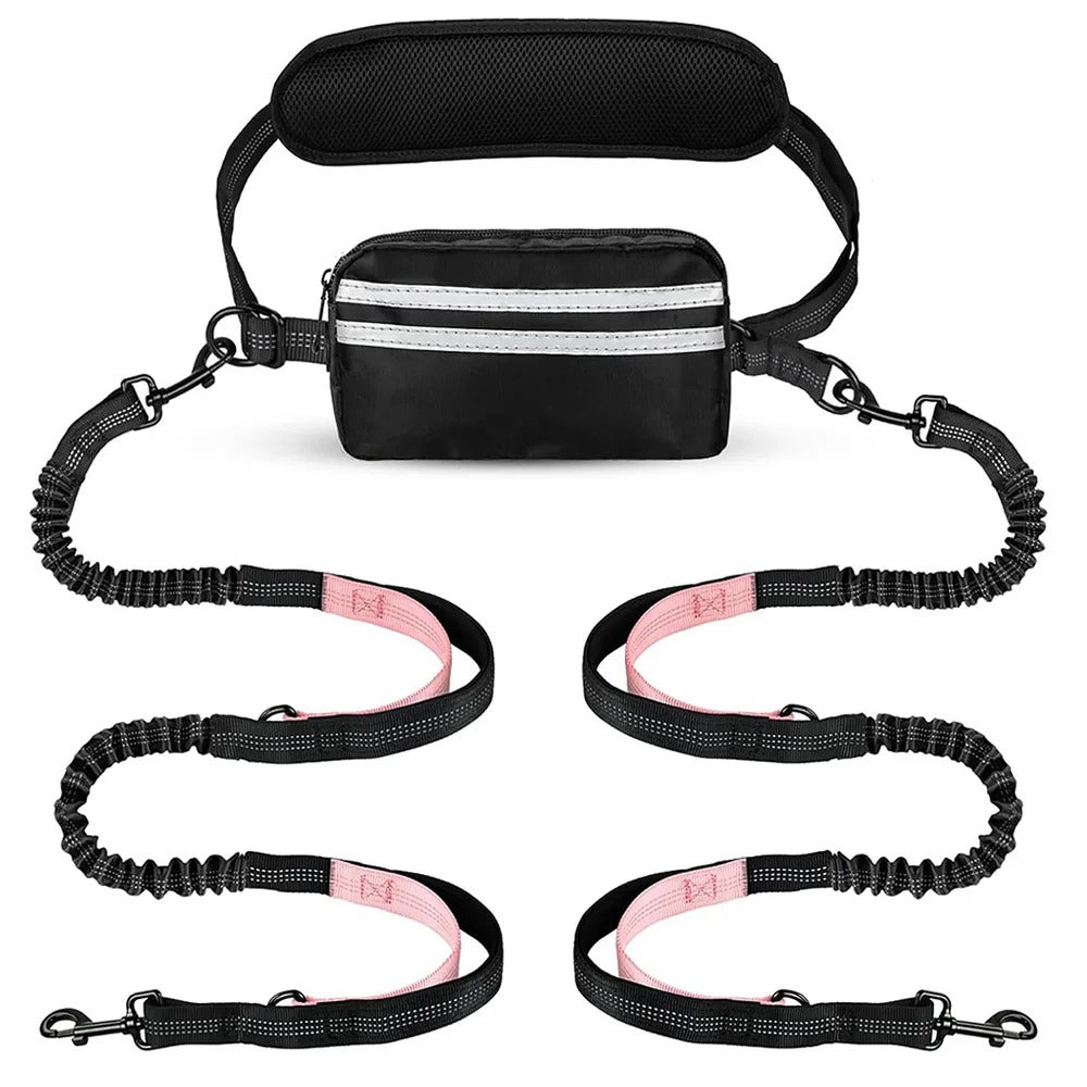 Laisse double pour chien | Mains Libres Anti-Traction